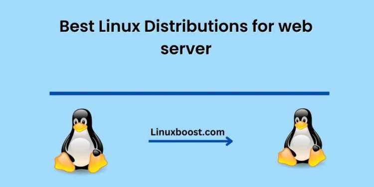 Best Linux Distributions for web server