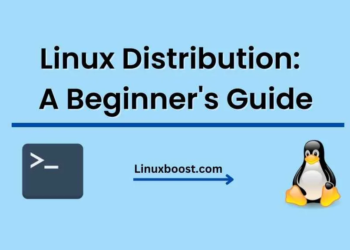 Linux Distribution: A Beginner's Guide