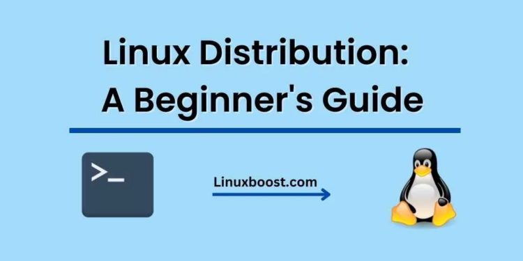 Linux Distribution: A Beginner's Guide