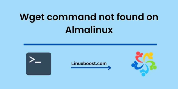 Wget command not found on Almalinux