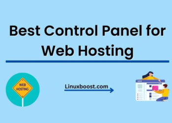 Best Control Panel for Web Hosting